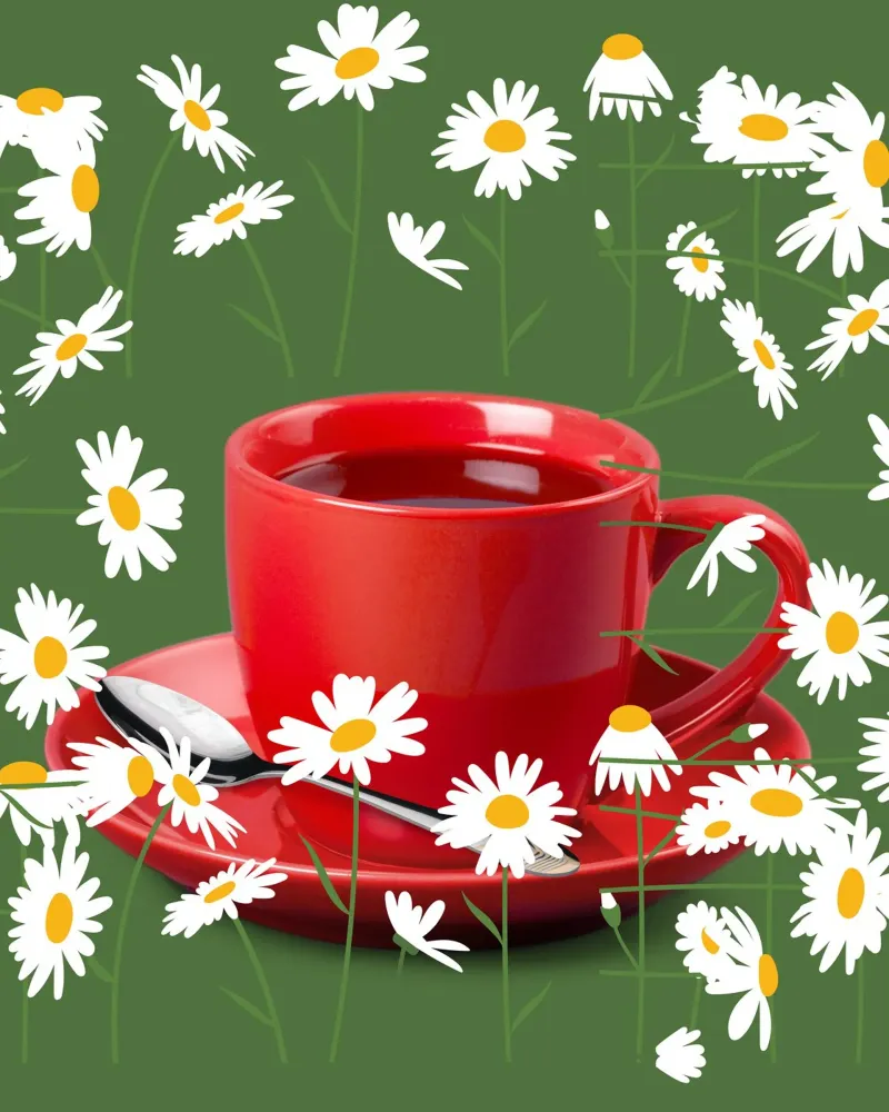 Verre à thé en porcelaine avec fleurs de camomille - Tableau vert, mode hahnemühle de StrindesignStudio