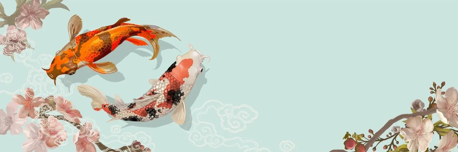 Yin Yang Koi Fish & Sakura - Japanese Art Harmony Print alu-dibond by NorwesClub