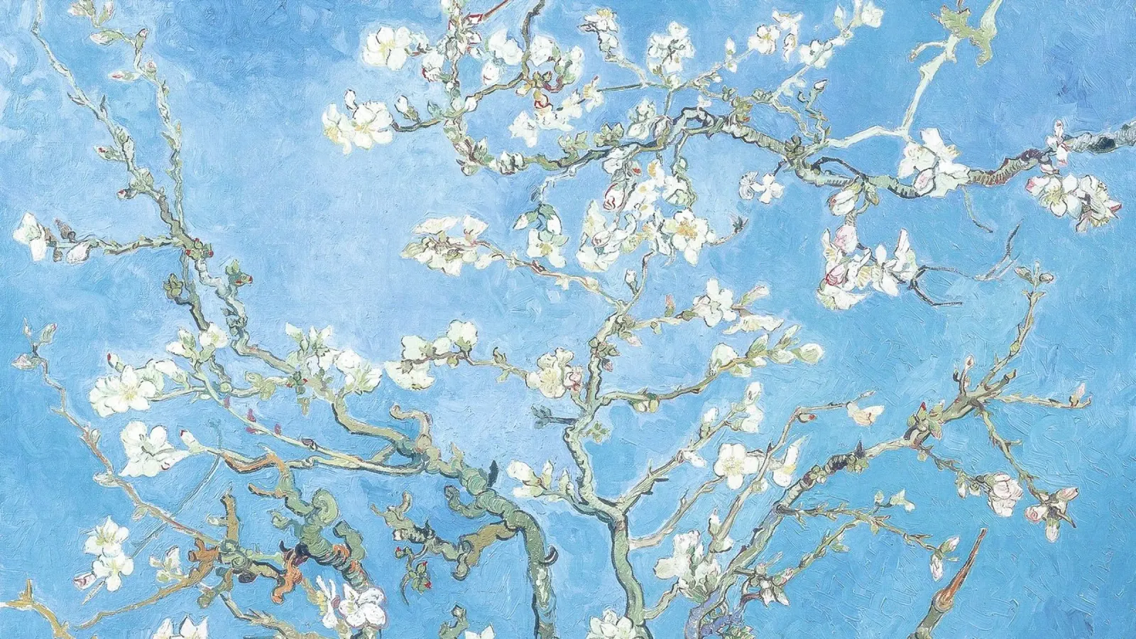 Van Goghs Amandelbloesems - Post-Impressionistisch Meesterwerk canvas met Baklijst van NorwesClub