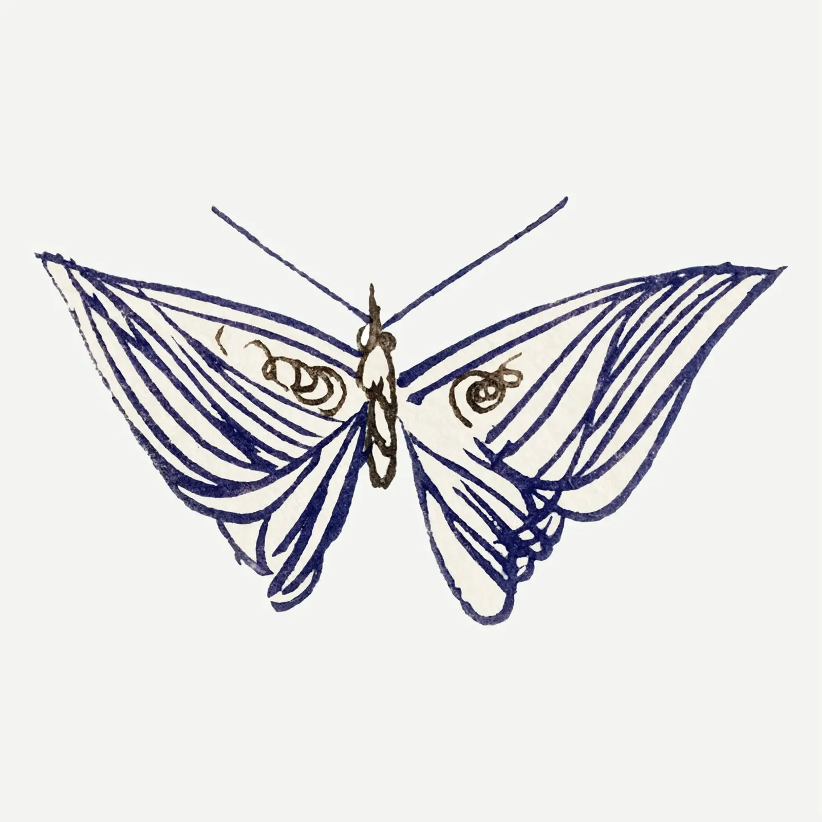 Ink Line Butterfly - Minimalist Japanese Art Print canvas by NorwesClub
