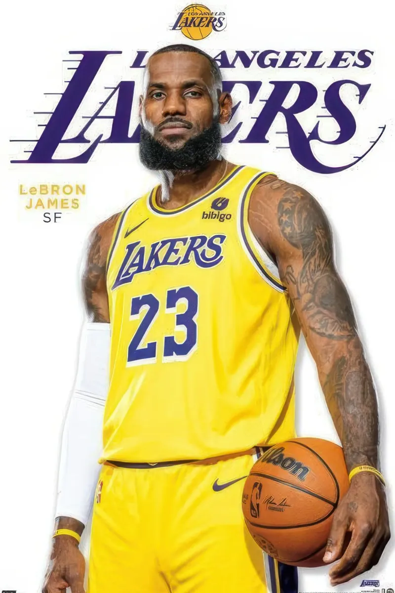 NBA Los Angeles Lakers - LeBron James Feature Series 23 canvas with Floater frame by nice sport