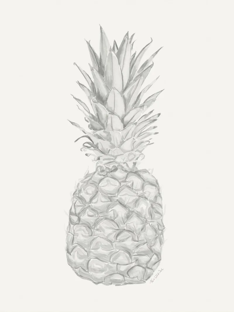 Acquerello minimalista in bianco e nero Ananas tropicale carta hahnemühle da This Wild Soul - Illustration