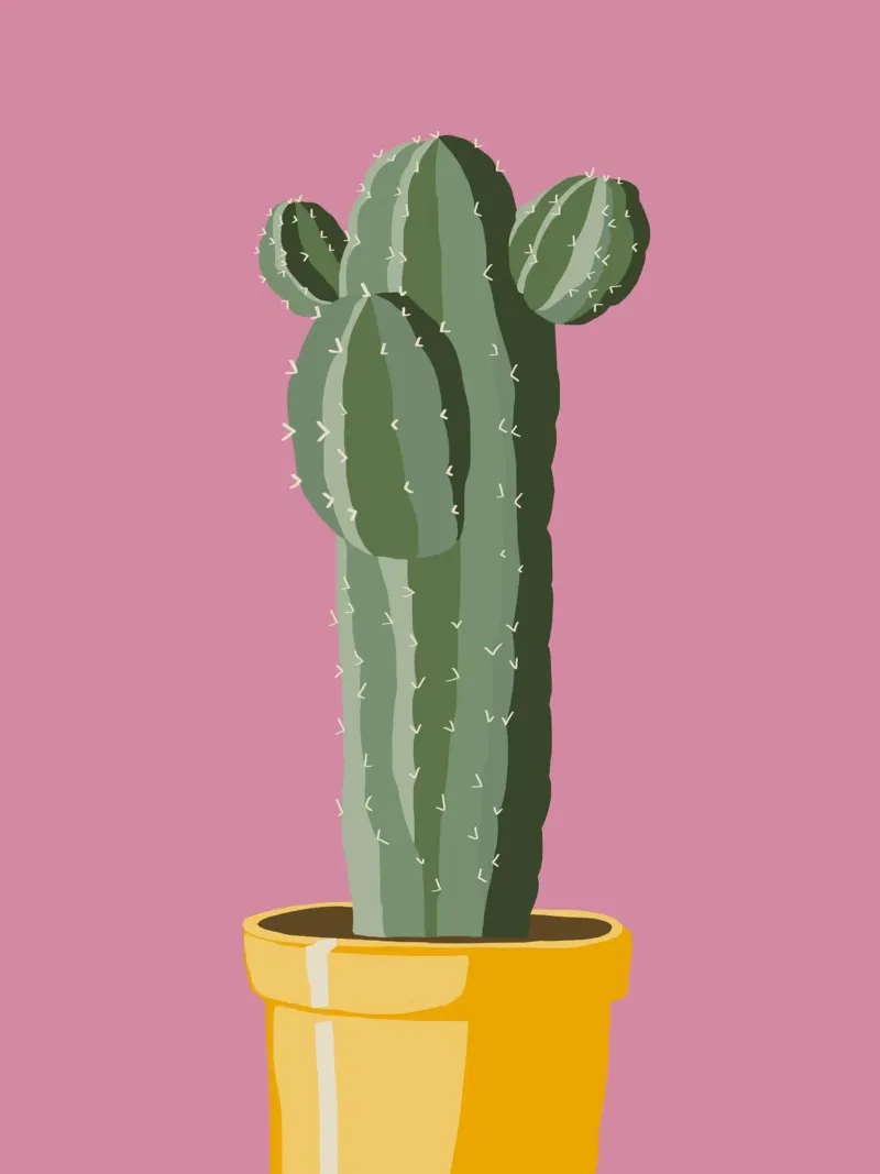 Cactus 02 pellicola backlit da Little Dean