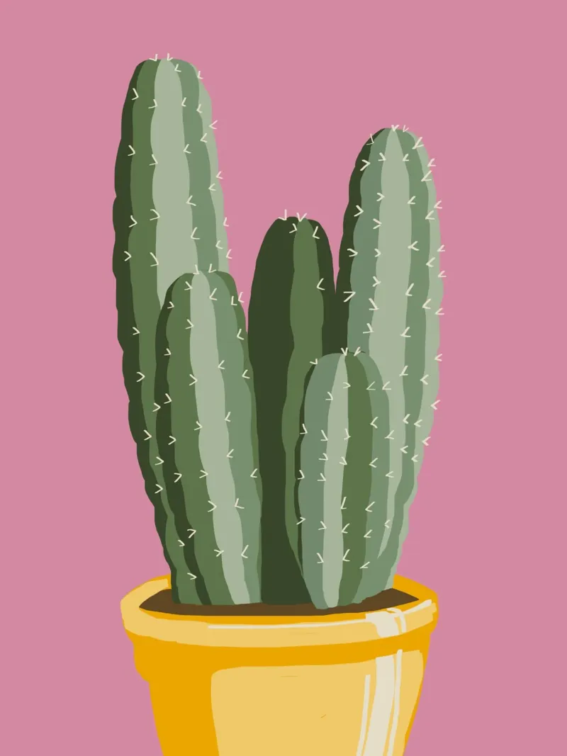Cactus 03 plexiglass da Little Dean