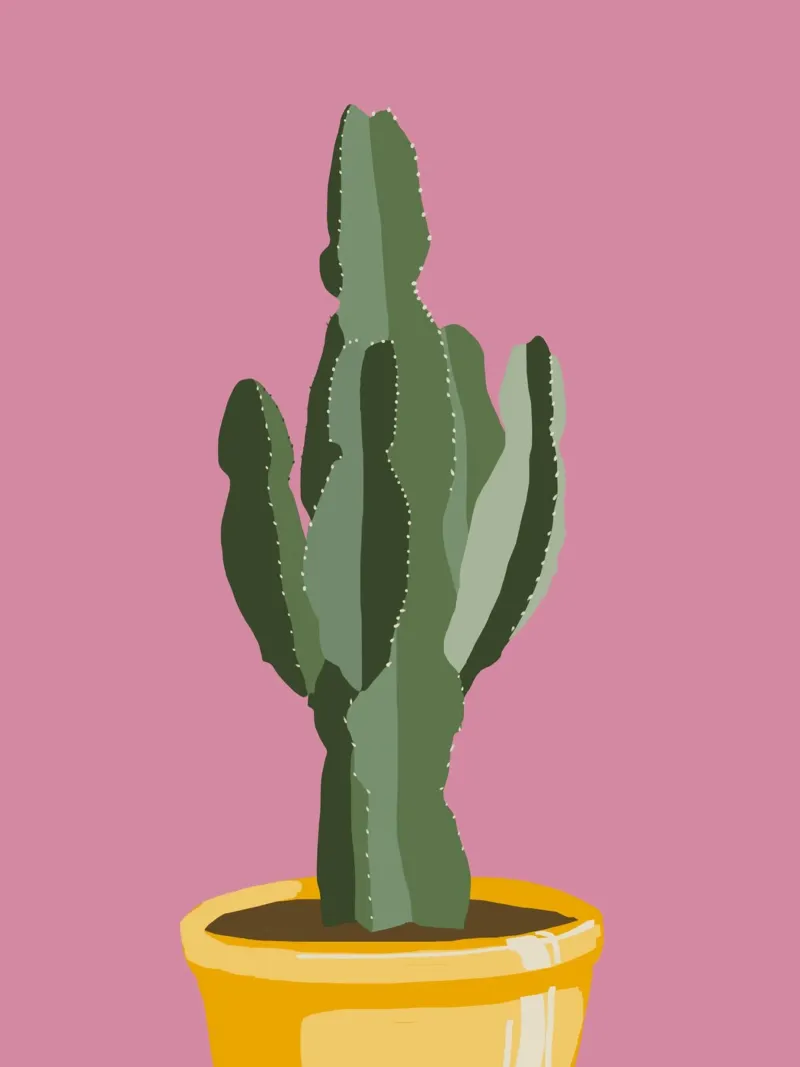 Cactus 06 plexiglass da Little Dean
