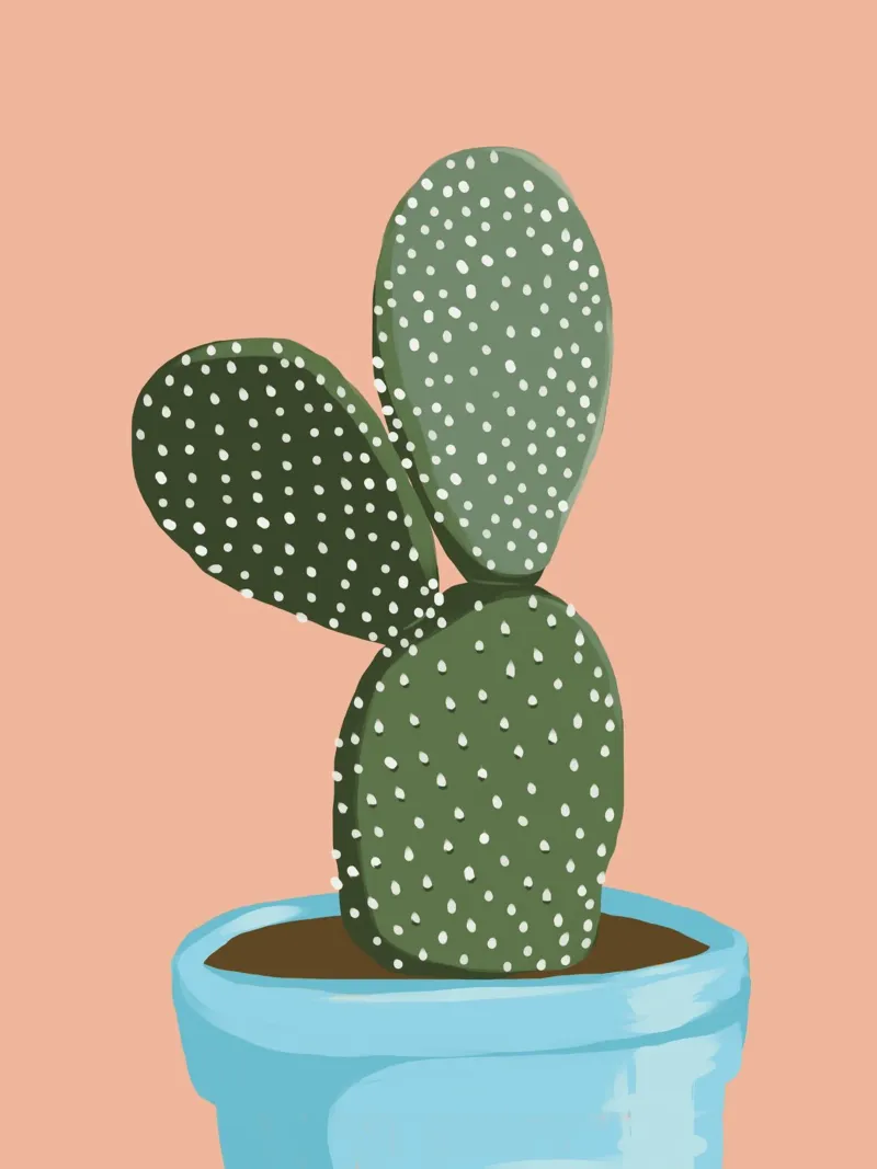 Cactus 05 plexiglass da Little Dean