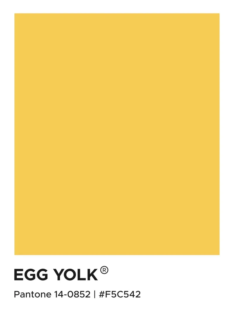 Eigelb Pantone Leinwand mit Schattenfugenrahmen von Paigaam Studio