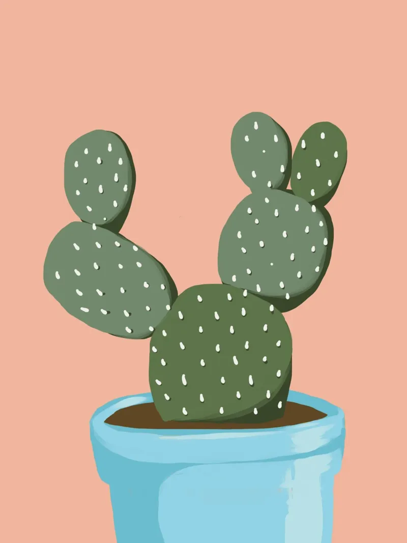 Cactus 08 plexiglass da Little Dean