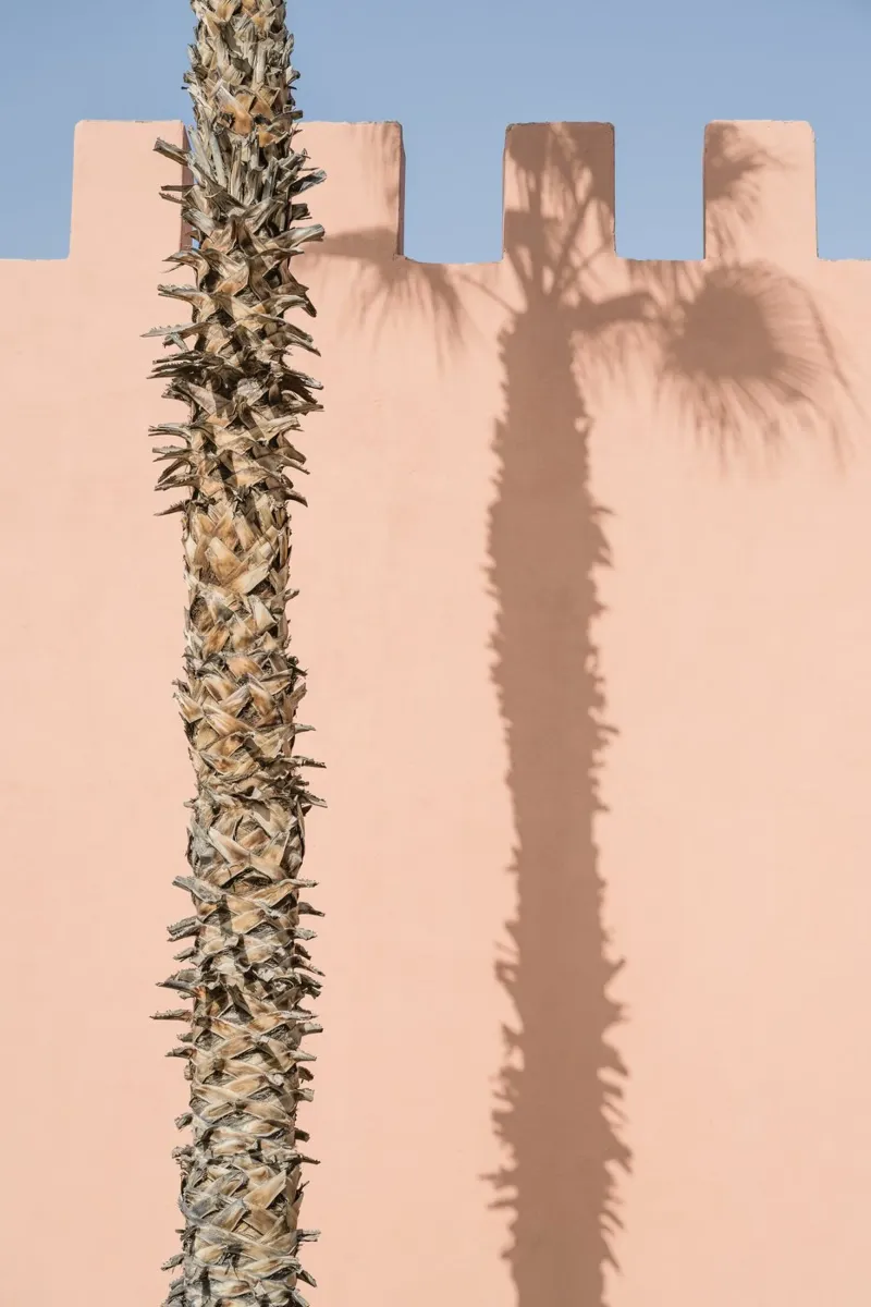 Shadow on a pink wall toile de photolovers