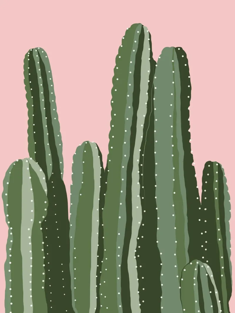 Cactus 11 plexiglass da Little Dean