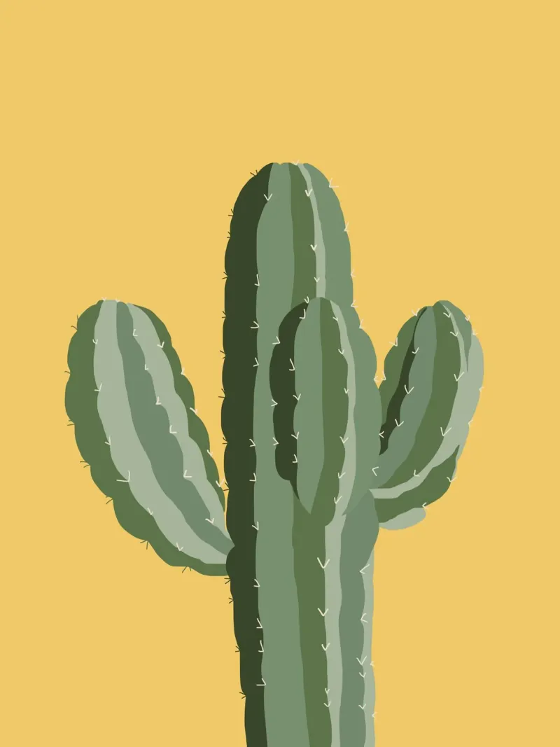Cactus 12 carta hahnemühle da Little Dean