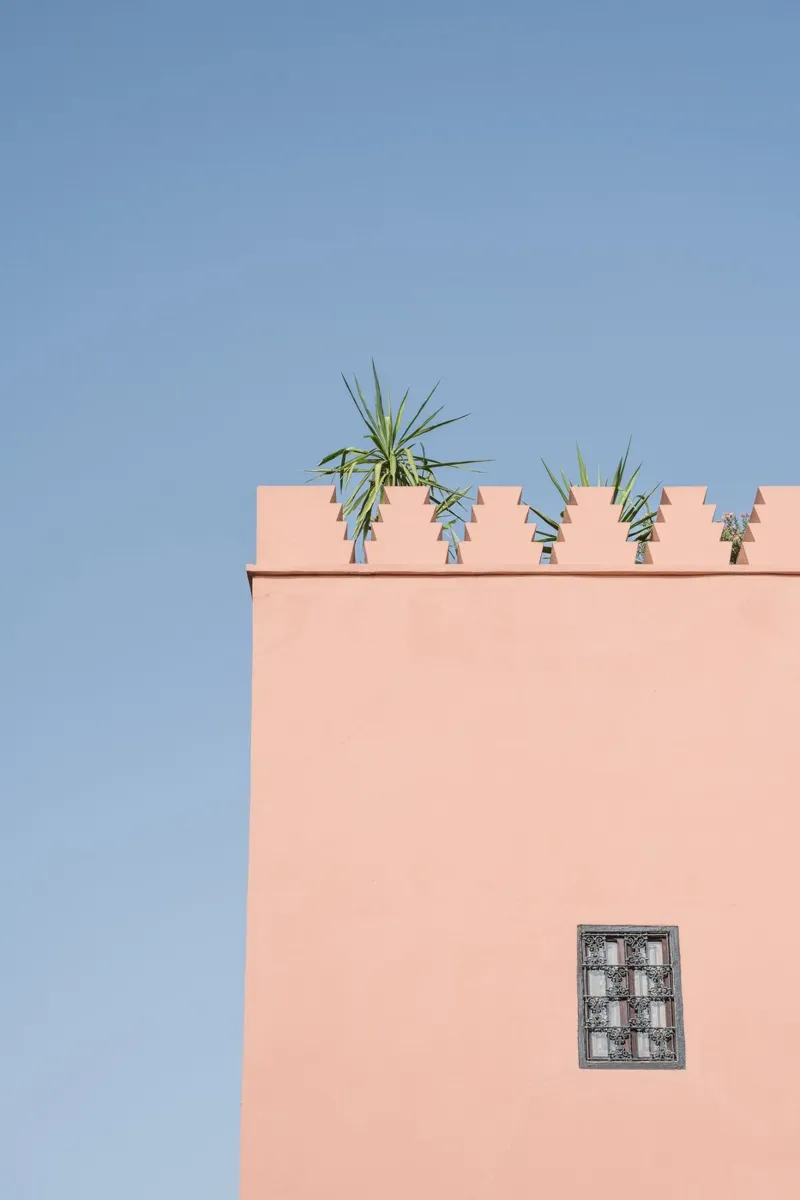 Green palm and a pink house in Marrakesh pellicola backlit da photolovers