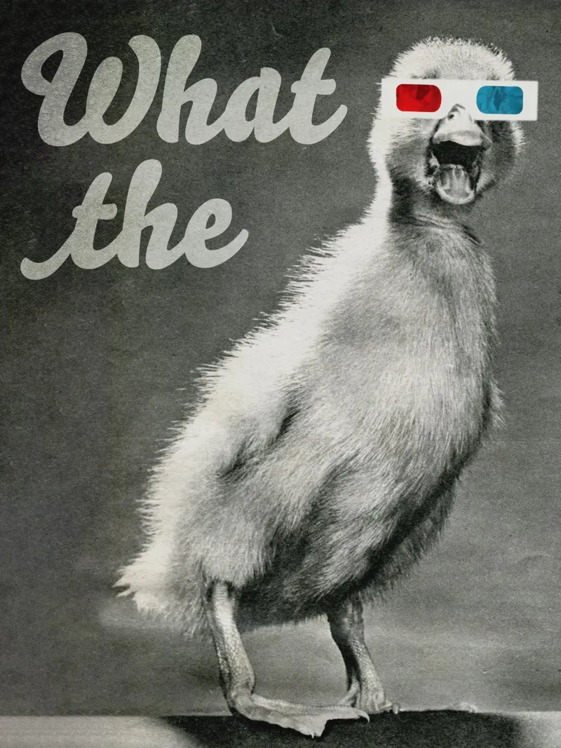 What the duck metacrilato de MsGonzalez