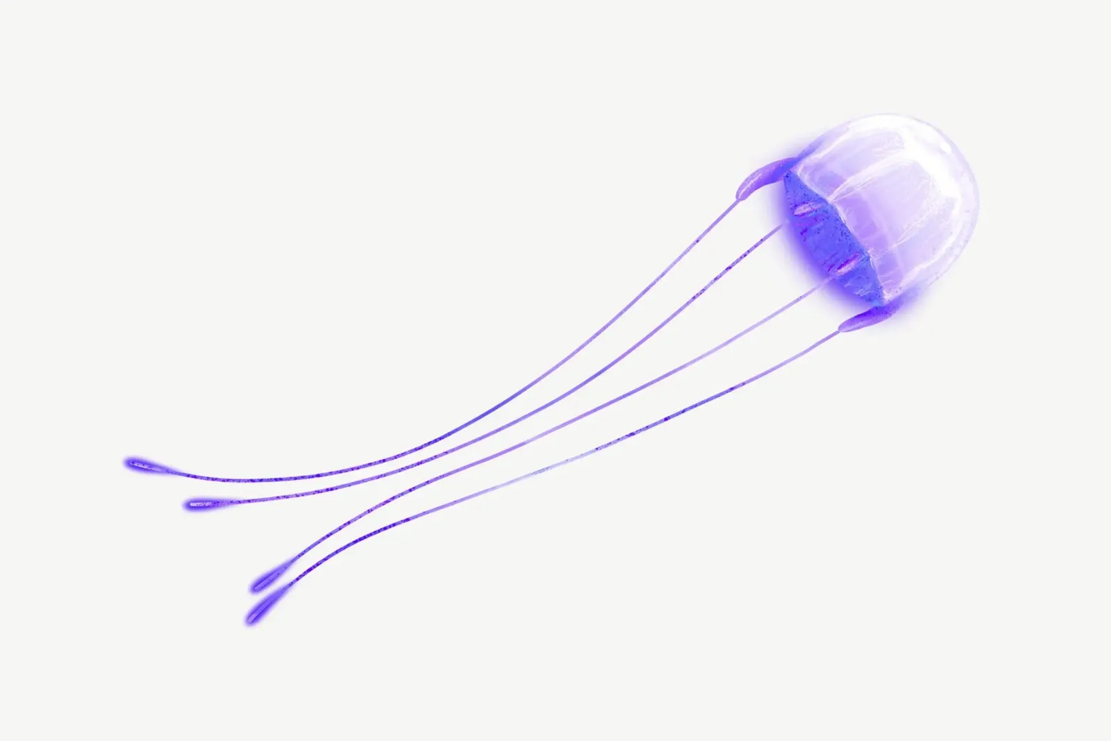 Méduse lumineuse violette - Impression d'art sur l'océan bioluminescent hahnemühle de NorwesClub
