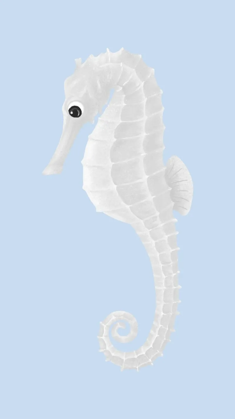 Hippocampe blanc mignon | Pastel Ocean Nursery Print poster avec cadre en aluminium de NorwesClub