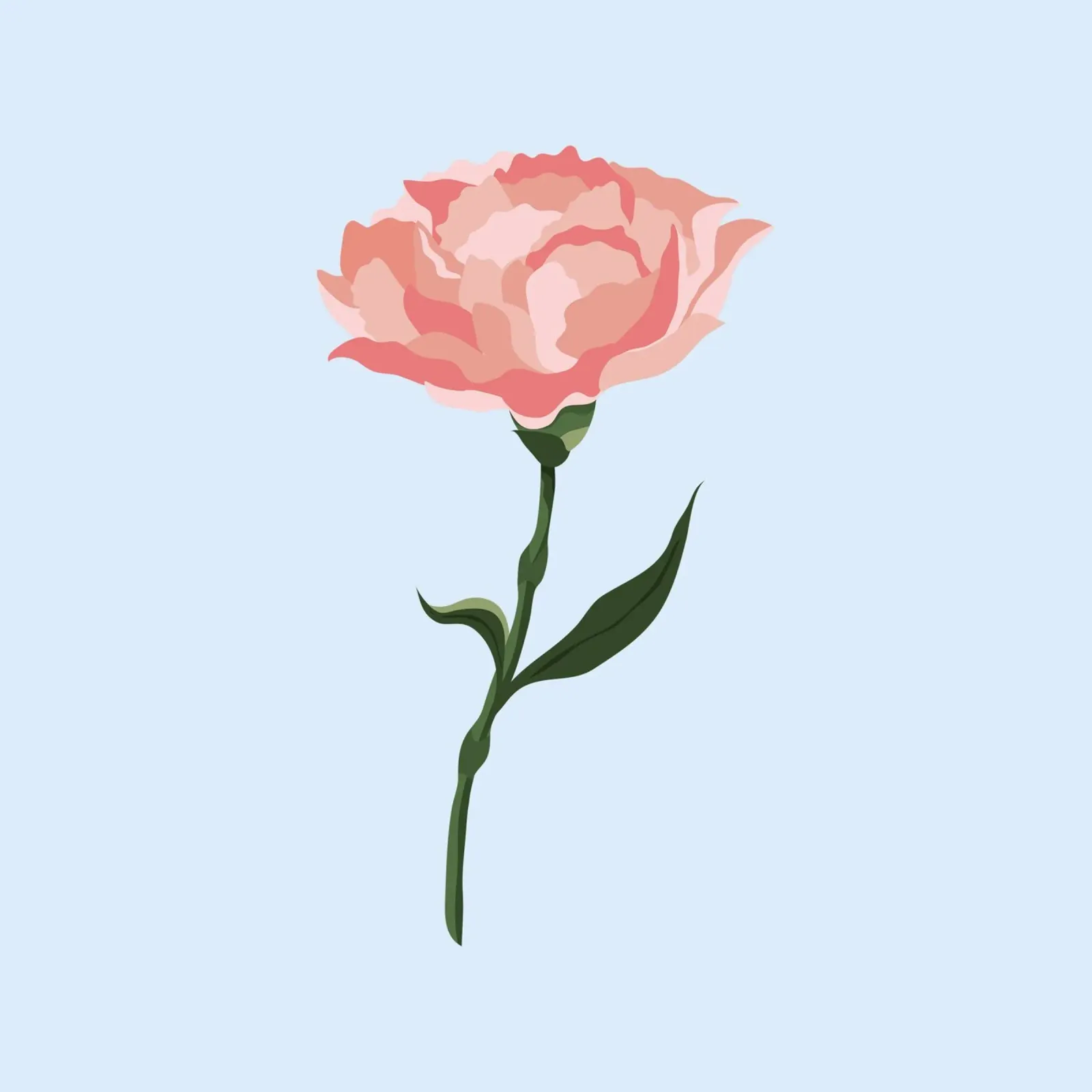 Pink Carnation Flower Art | Minimalist Botanical Print hahnemühle by NorwesClub