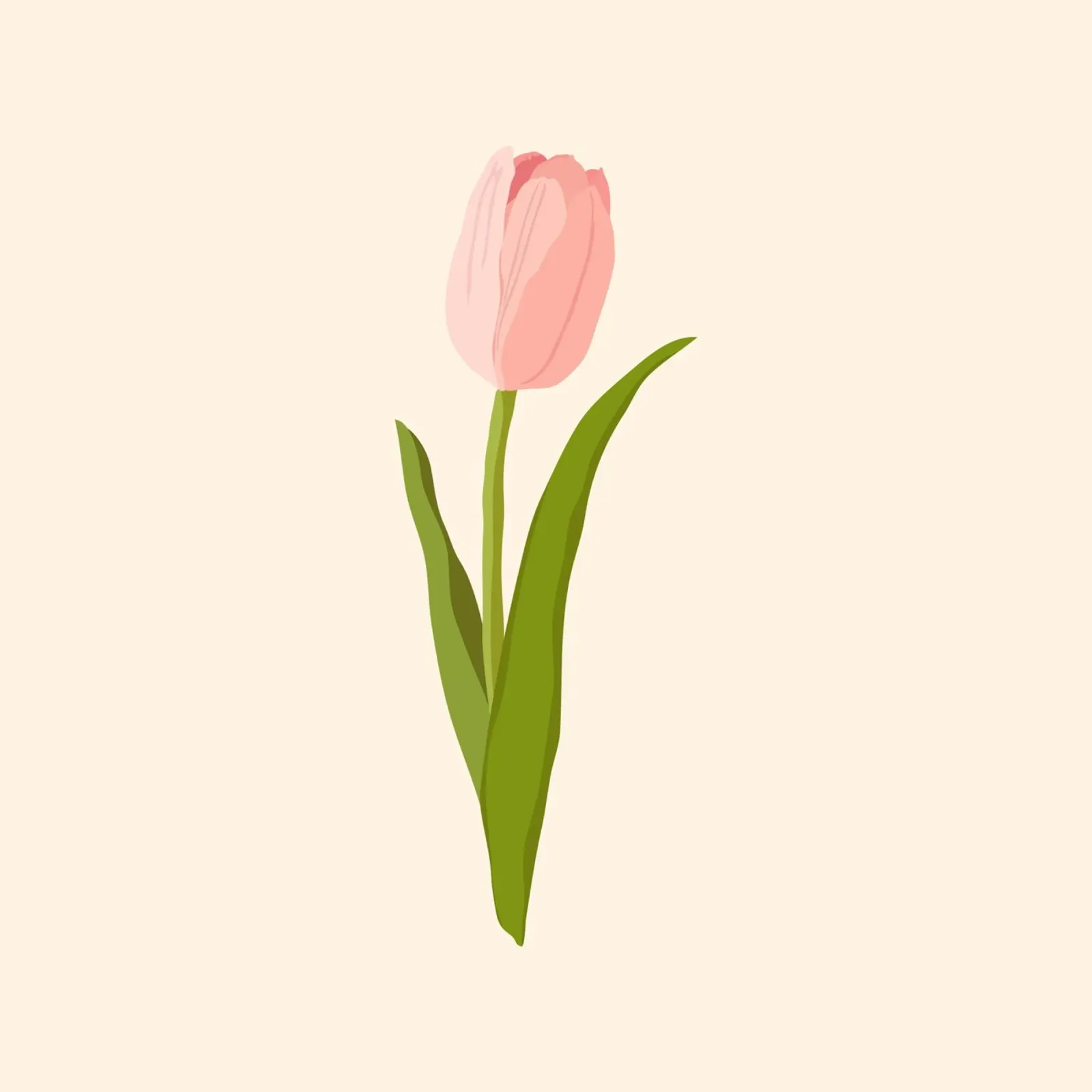 Elegant Pink Tulip Bloom | Minimalist Botanical Art Print canvas by NorwesClub