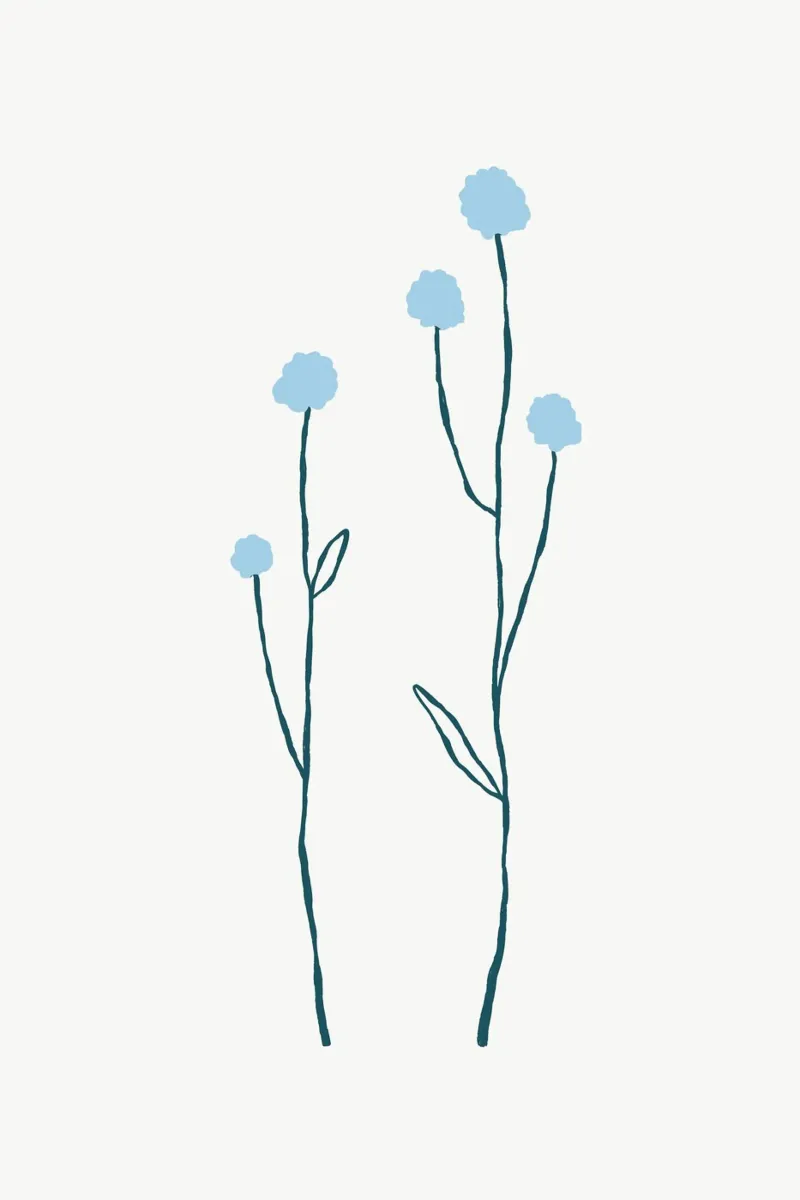 Minimalist Blue Flower Stems | Nordic Botanical Line Art Pri canvas by NorwesClub