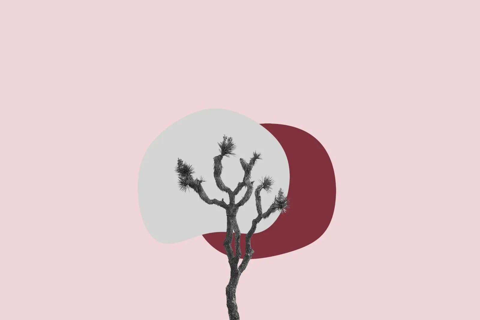Joshua Tree Minimalist Print | Desert Sunset Abstract Art canvas by NorwesClub