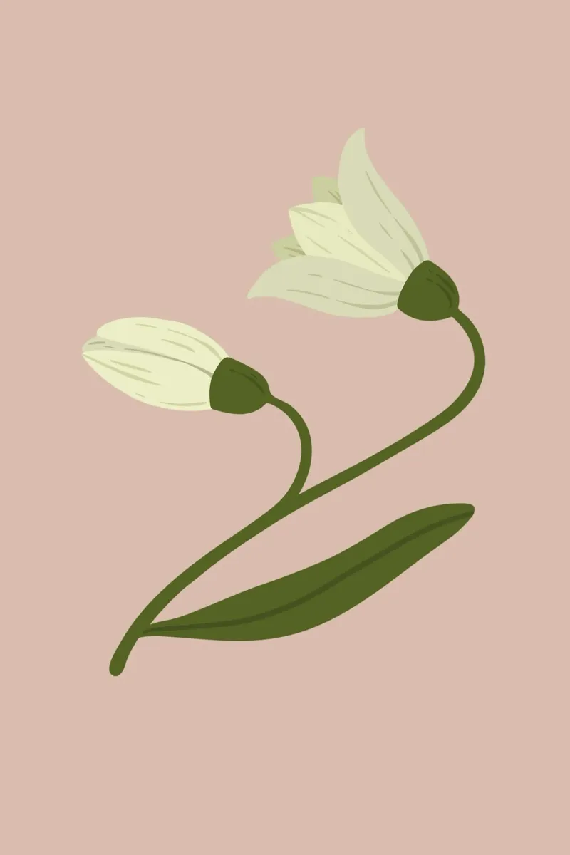 Bucaneve Boccioli di fiori Pastello | Minimalista Primavera Botanico Pr pellicola backlit da NorwesClub