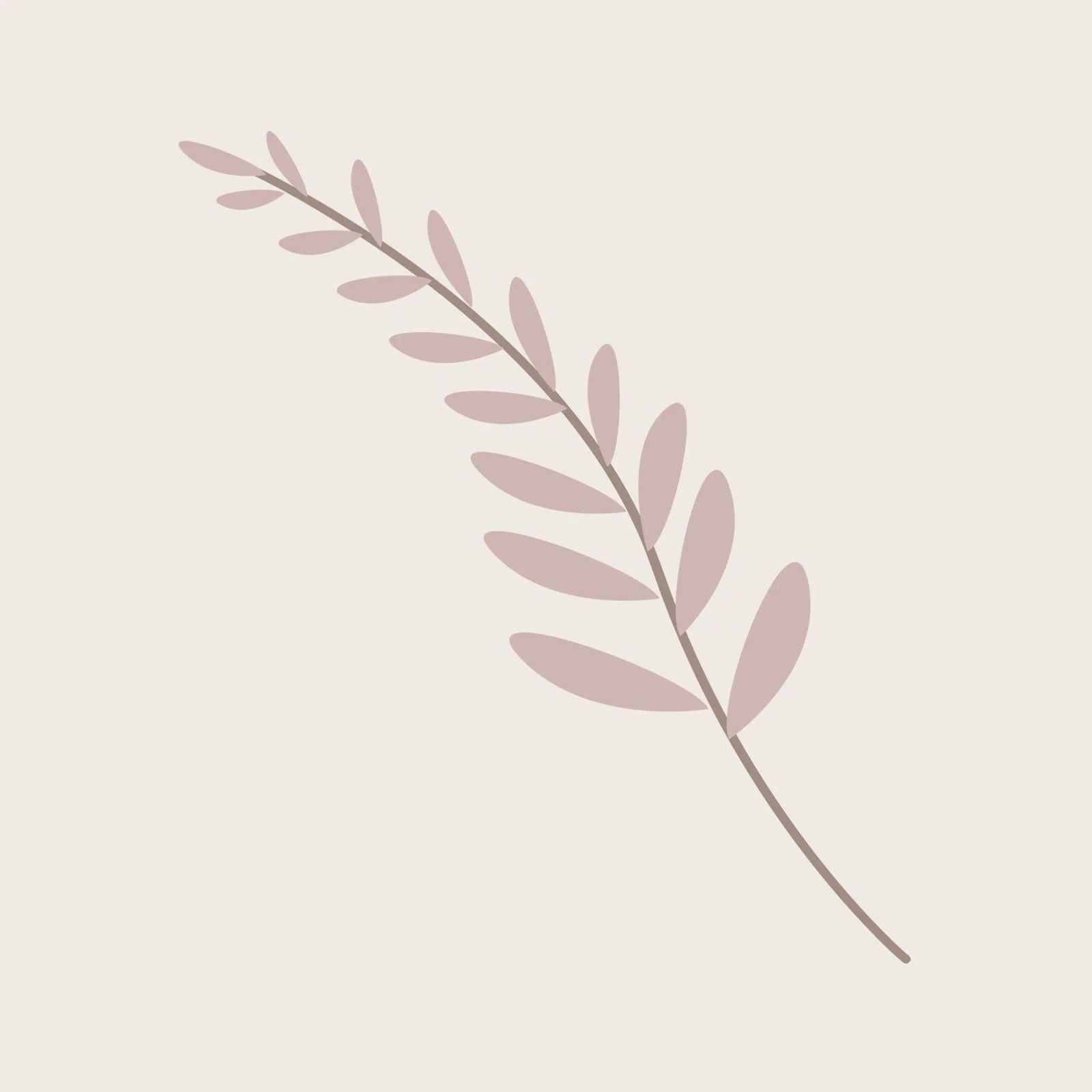 Blush Pink Leaf Branch | Minimalist Botanical Art Print canvas by NorwesClub