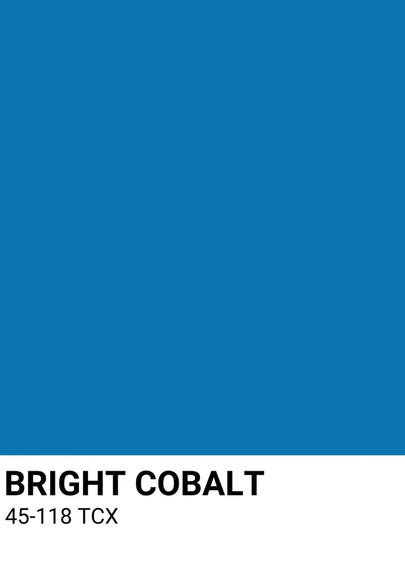 Pantone Helder Kobalt Kleurenblok | Esthetisch Minimalistisch Pri canvas met Baklijst van NorwesClub