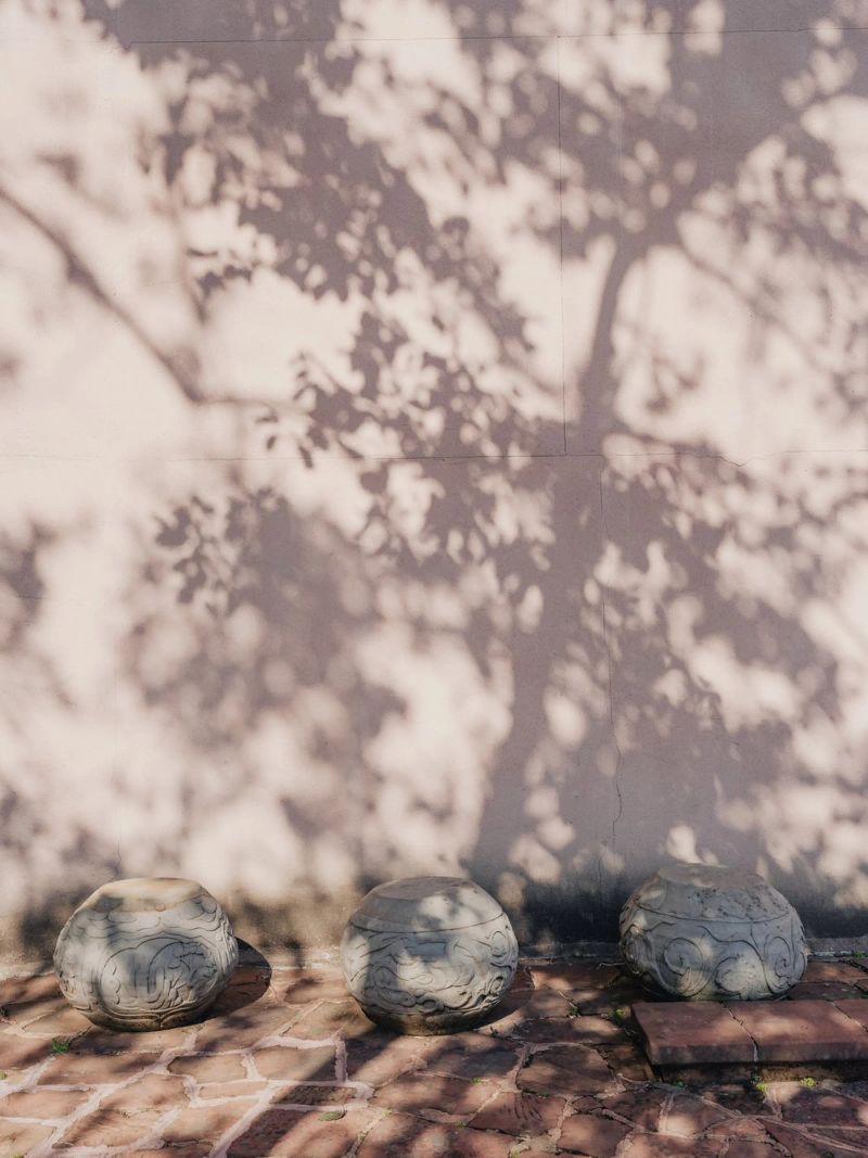 Shadow of a tree in China pellicola backlit da photolovers