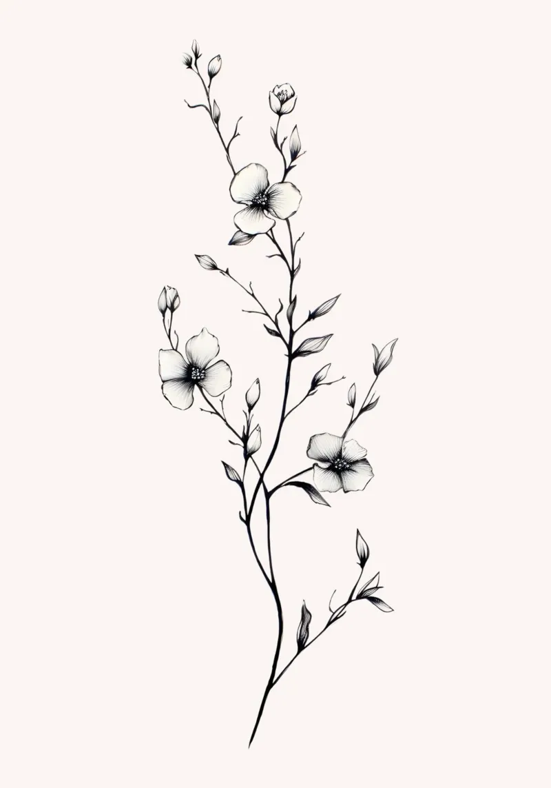 Delicate Floral Line Art | Minimalist Botanical Sketch Print hahnemühle de NorwesClub