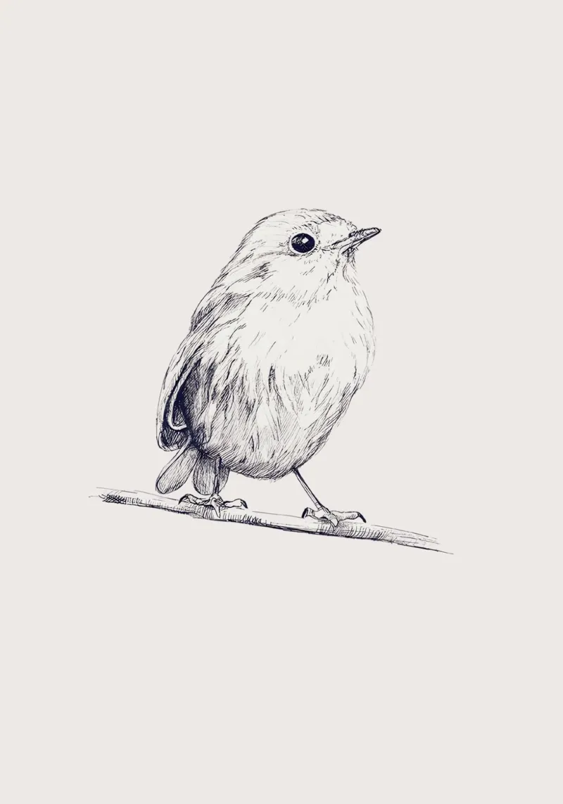 Delicate Bird Sketch Art | Minimalist Monochrome Print canvas by NorwesClub