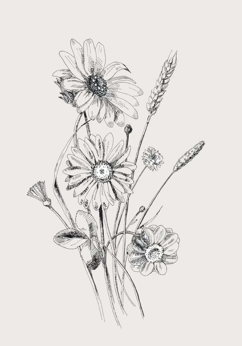 Schizzo botanico di fiori selvatici e grano | Vintage Monochrome Flo pellicola backlit da NorwesClub