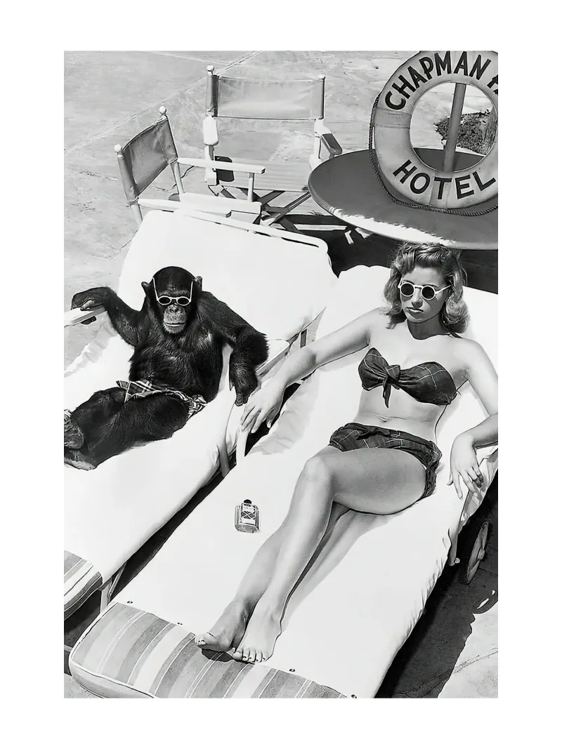 Dama y chimpancé tomando el sol lienzo con Marco flotante de Black And White