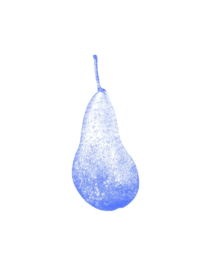 Blue Pear alluminio dibond da La Bola