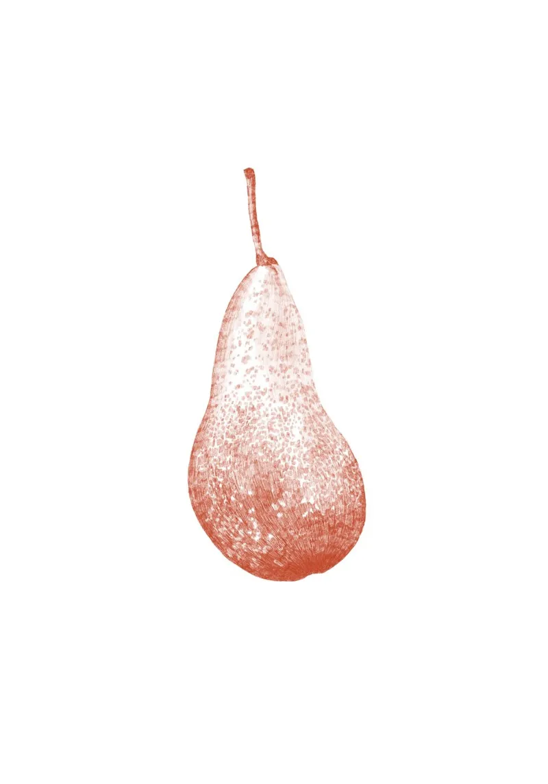 Red Pear plexiglass da La Bola