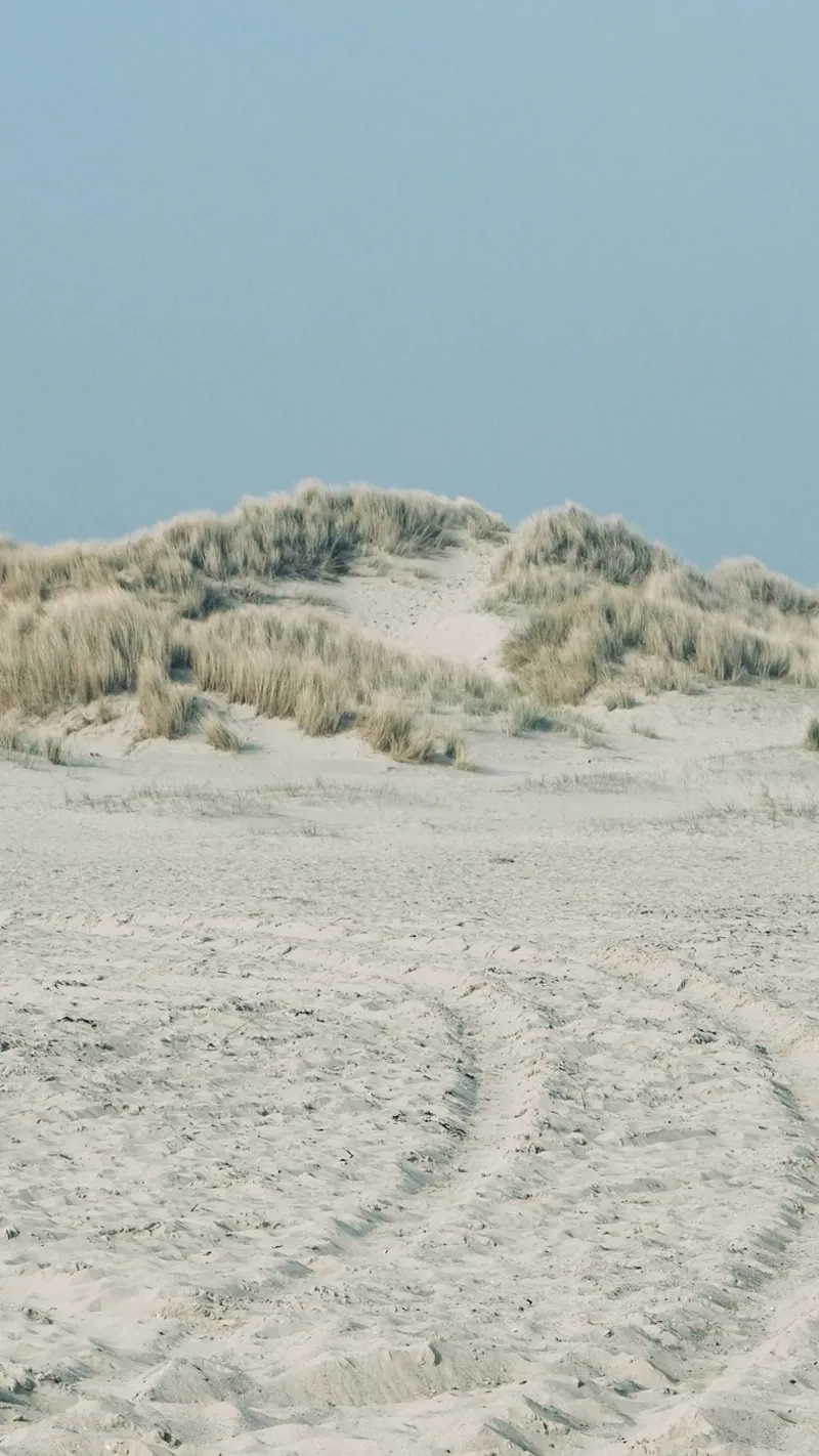 kustlandschap canvas met Baklijst van life of sands