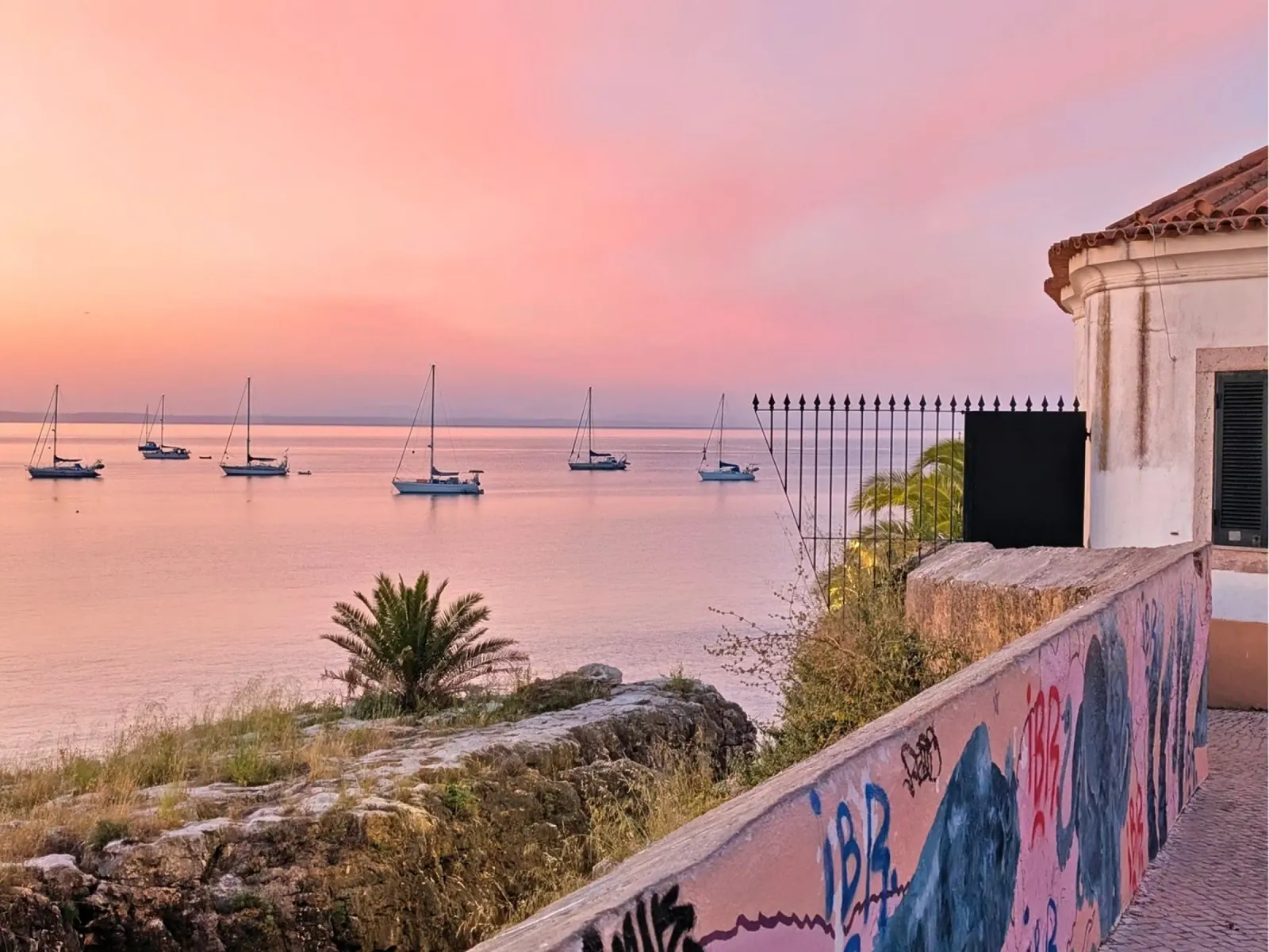 Alba rosa su Cascais con barche a vela e muro di graffiti poster con telaio in alluminio da Hecate Pim Designs