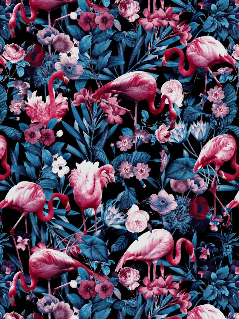 Floral and Flamingo VIII pellicola backlit da burcukorkmazyurek