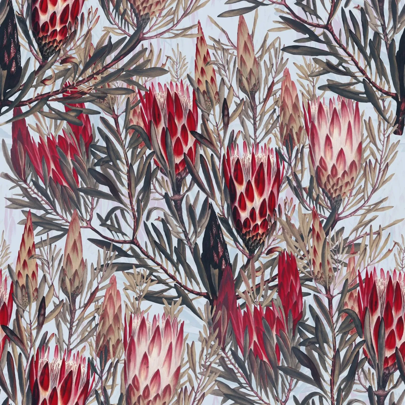 Protea Pattern II plexiglass da burcukorkmazyurek