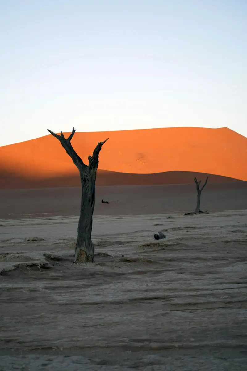 duna del deserto pellicola backlit da Earthly Visions