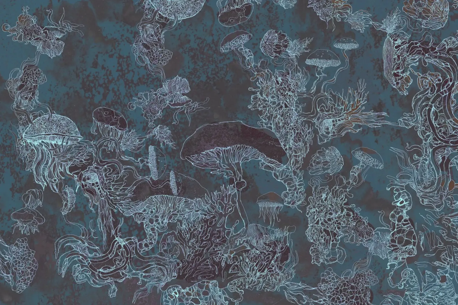 mush blue hahnemühle by Giulio Iurissevich