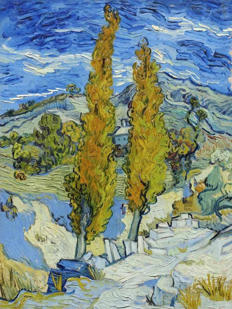 Vincent van Goghs Die Pappeln von Saint-Rémy (1889) Forex-Platte von Venus Art