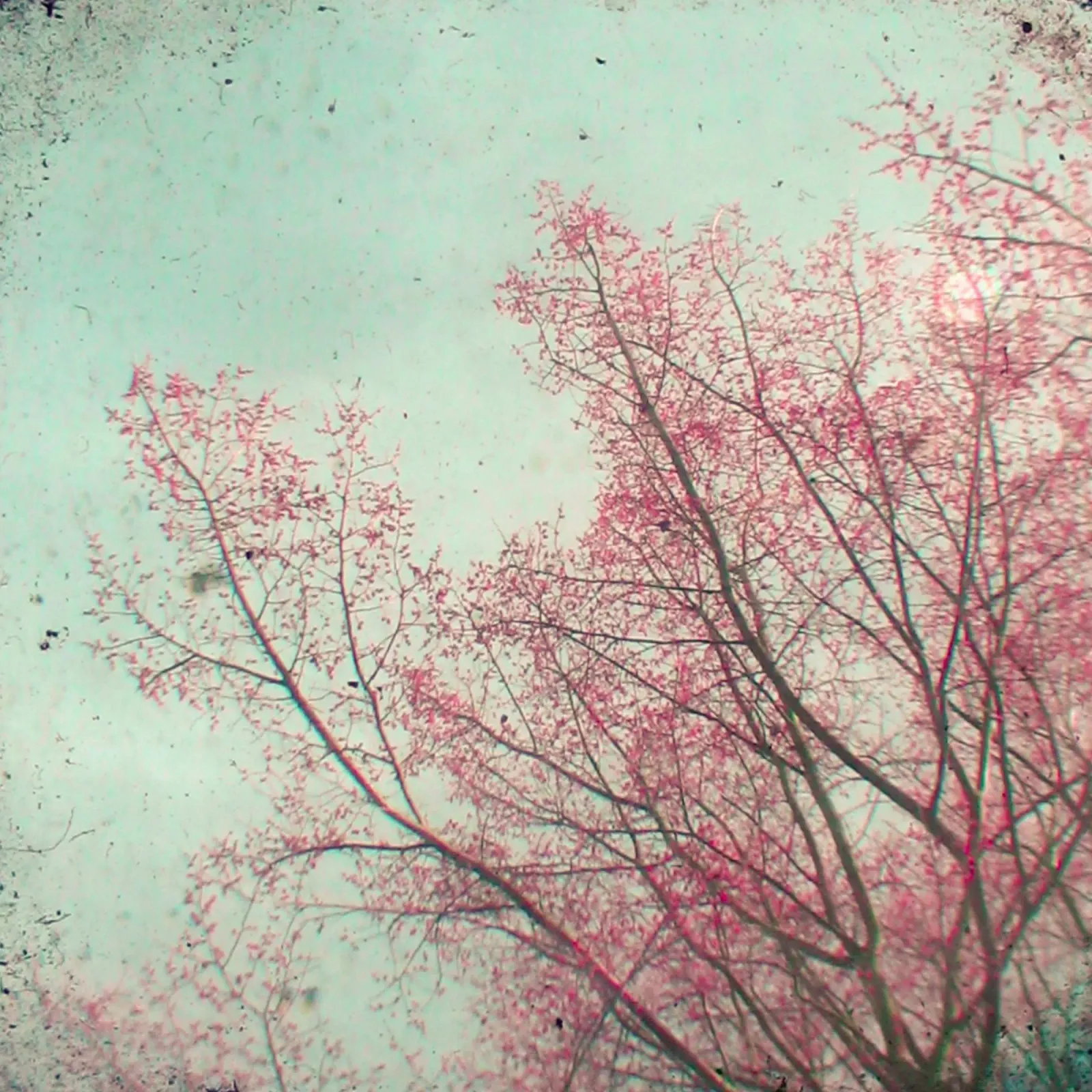 Scappa con me carta hahnemühle da Cassia Beck Photography