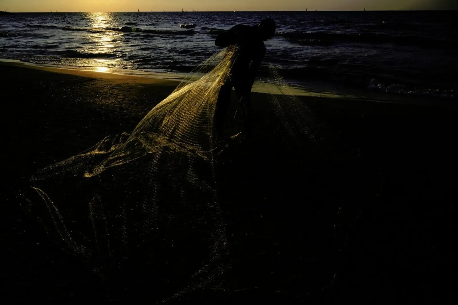 The Fisherman IV pellicola backlit da Tal Paz-Fridman