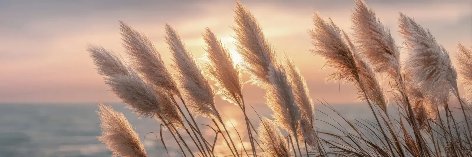 Pampas poëzie in het avondlicht canvas met Baklijst van Melanie Viola