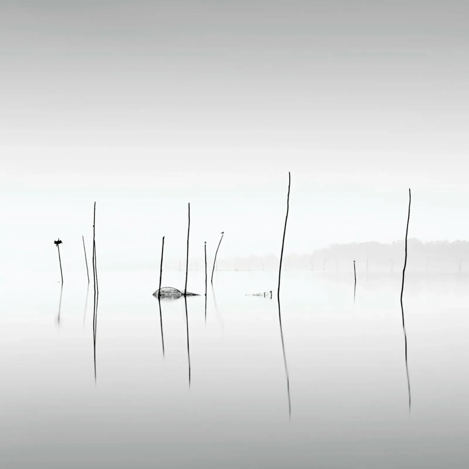 Trasimeno | Umbrien 2021 pellicola backlit da Håggard Photography | Ronny Behnert