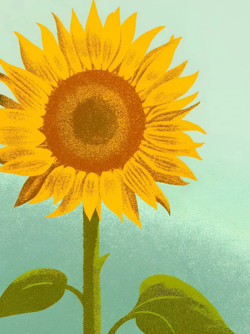 Zonnebloem acryl van SOUL SHOP