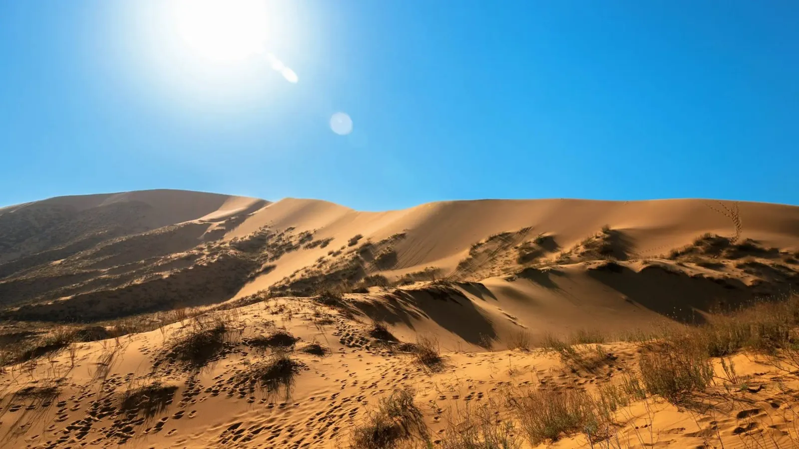 dune luminose pellicola backlit da life of sands