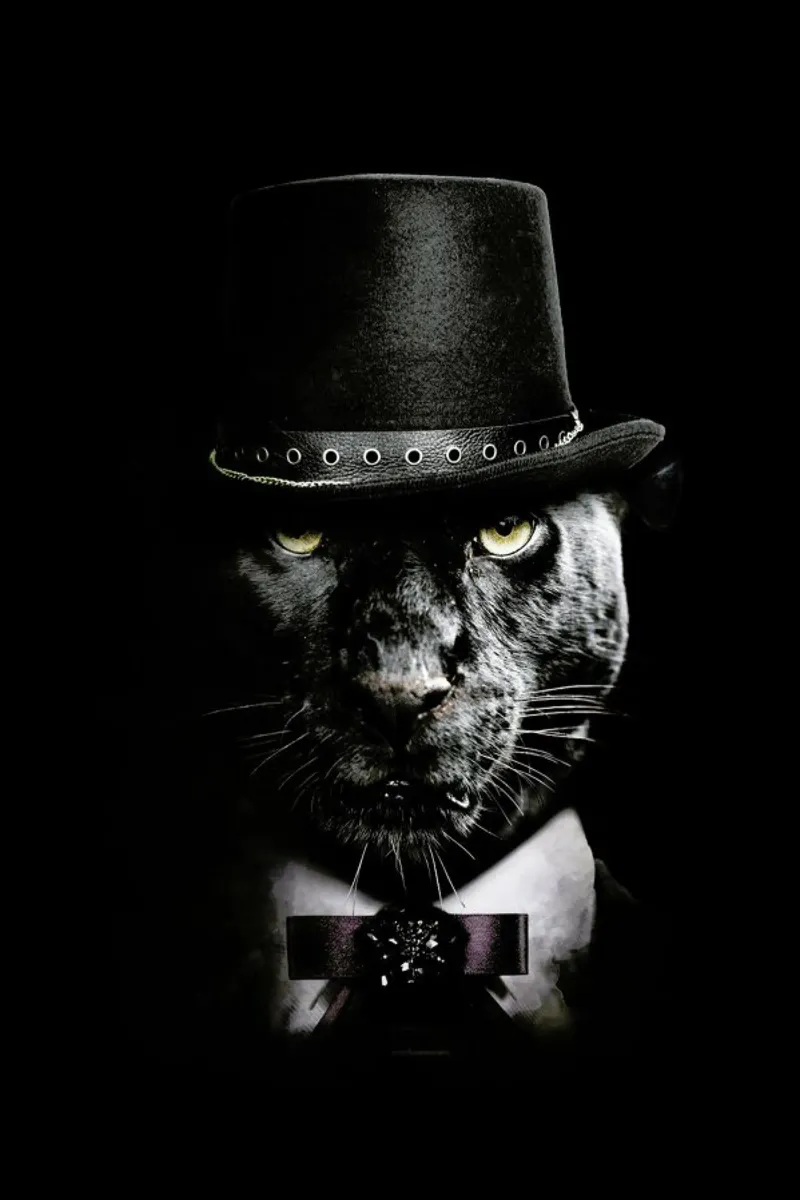 Classy Panther pellicola backlit da Wouter Rikken
