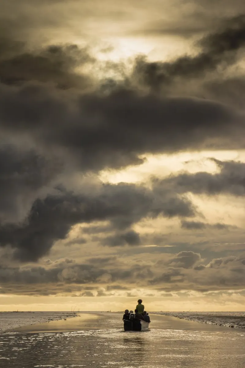 Sunset in grey and gold pellicola backlit da photolovers