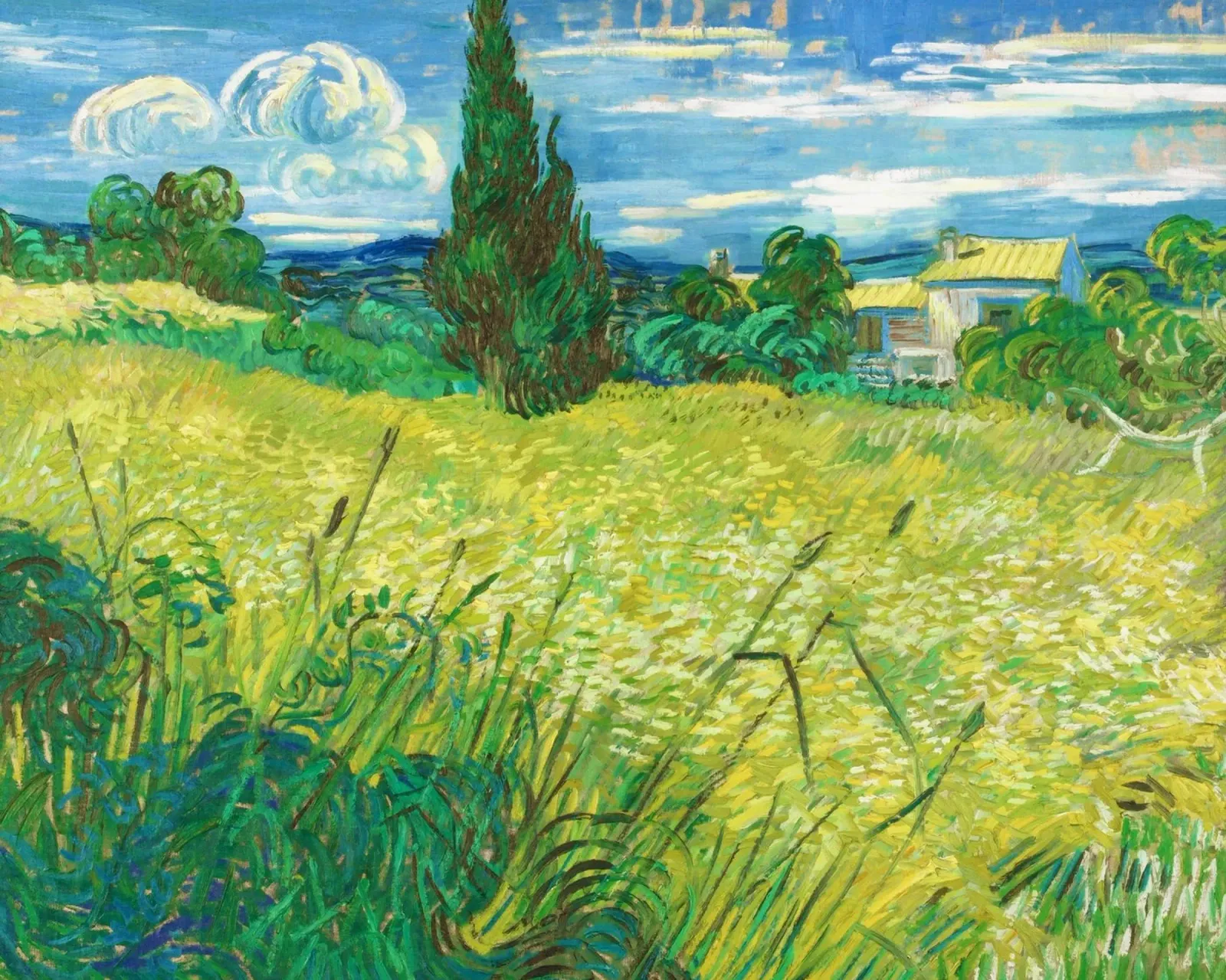 Vincent van Gogh's Green Field (1890) canvas by Van Gogh Prints