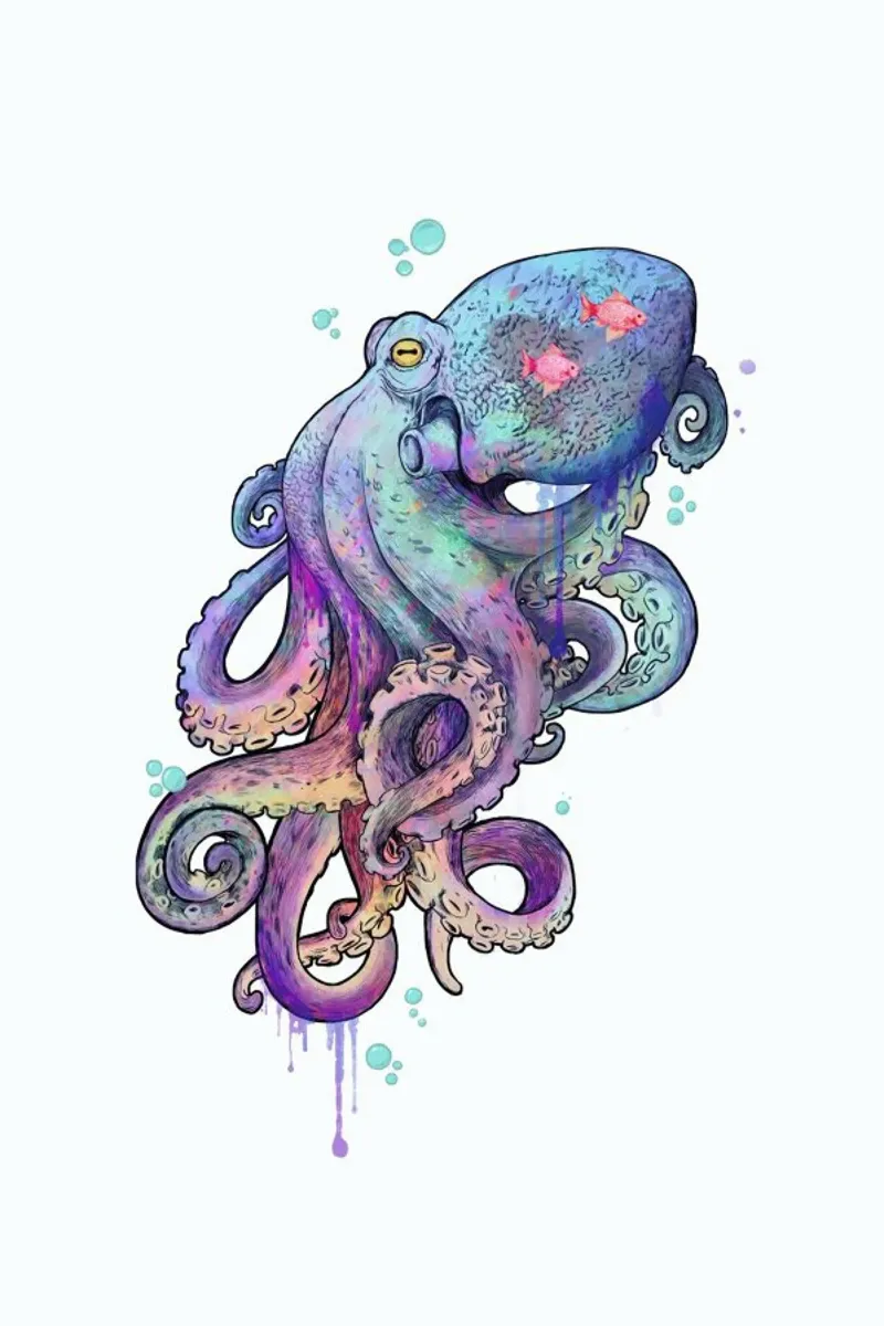 Octopus alu-dibond by Laura Graves